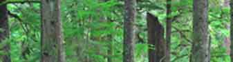 acerage for rent in Sooke