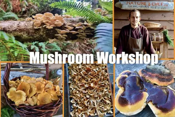 Mushroom Foraging Workshop