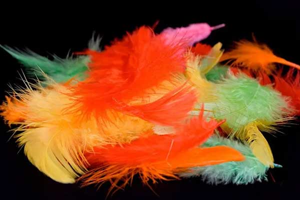 Ensemble Laude presents Queen