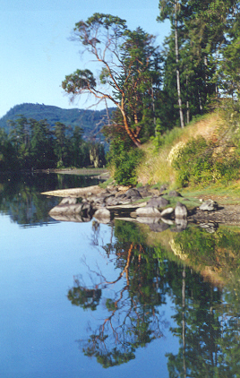 Galloping Goose Trail near Stone Pipe Landing